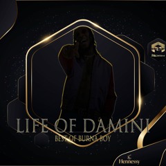 Life Of Damini - The Best Of Burna Boy