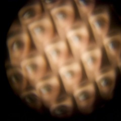 It Was There When I Got In