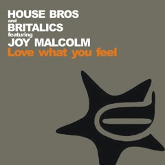 Love What You Feel (Arduini & Pagany Back To Funk) [feat. Joy Malcolm]