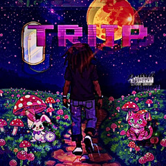 TRIIP (Prod. 4 Head)