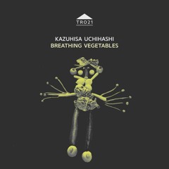TR021 - Kazuhisa Uchihashi - Guitar Solo Flect