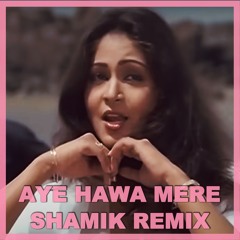 Aye Hawa Mere (Shamik Remix)