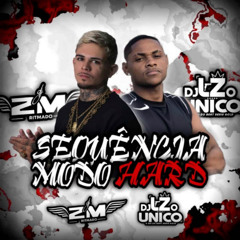 SEQUÊNCIA MODO HARD - DJ LZ O ÚNICO (1)