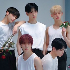 ＊*•̩̩͙✩•̩̩͙*˚　˚*•̩̩͙✩•̩̩͙*˚＊