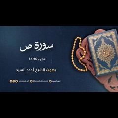 سورة ص || ليالي رمضان ١٤٤٦ || الشيخ أحمد السيد