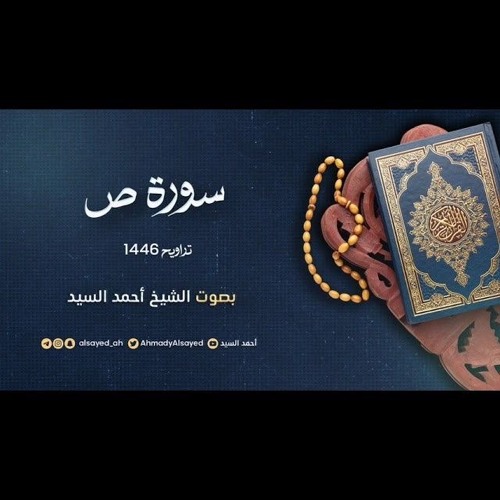 سورة ص || ليالي رمضان ١٤٤٦ || الشيخ أحمد السيد