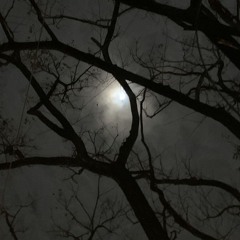 night (prod. clysm)