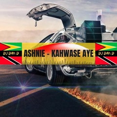 Ashnie - Kahwase Aye (DJ DAN D NYC)>>CLICK TO DOWNLOAD