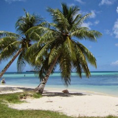 Frank 'Bokonggo' Pangelinan- Un Puti'on