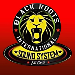 Black Roots Early Warm Rockers