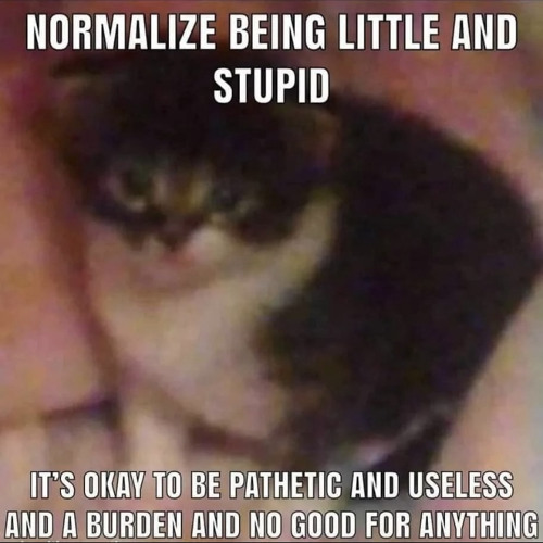 why are you so  fucking negative all the time