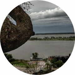 Stunned by the silence