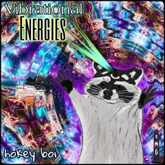 hokey boi - Vibrational Energies (O.M.G Premier)