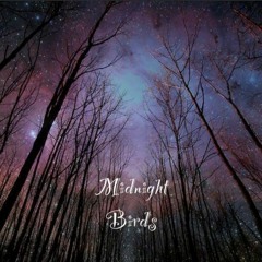 Midnight Birds (Re - Edition)