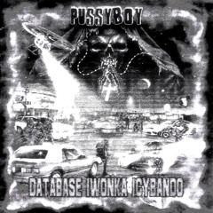 DATABASE, IWONKA, ICYBANDO - PUSSYBOY (Mix by Roudie J.)
