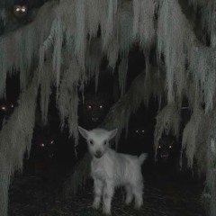 RUNNING LITTLE LAMB (prod. himura)