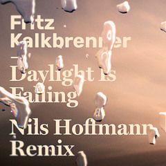 Daylight Is Falling (Nils Hoffmann Remix) (Extended Mix)