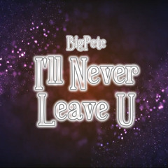 I'll Never Leave U
