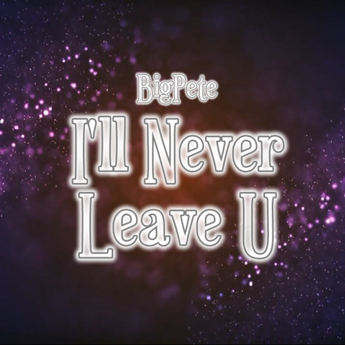 I'll Never Leave U