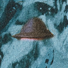 Meet Me In the Woods