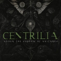 Under The Shadow Of Vultures