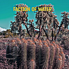 Faction Of Water