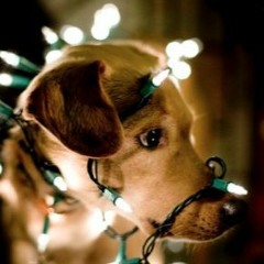 Christmas Time Is Here - David Davidson & Beegie Adair