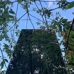 Vacillater (Original Demo)