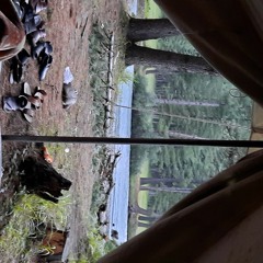 Sardar Ali Takar - --Da Adam Da Nazar Tol DeGhani Khan