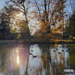 SITTING DUCKS