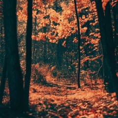 climaxxx pt ii *leak iv*