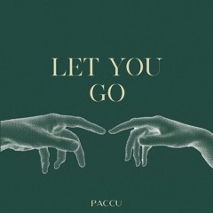 Paccu - Let You Go