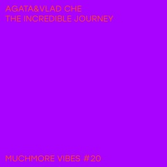 Аgata&Vlad Che - The Incredible Journey