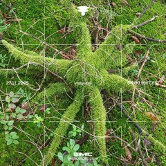 vissyvesi @ GIMIC - 27 November 2025