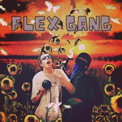 Big Baller B & Lil Mosquito Disease - Flex Gang