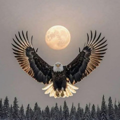 Introducing the Moon