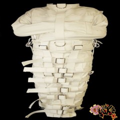 why did things go this way