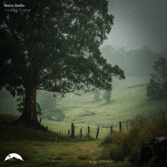 Nora Gallo - Finding Shelter