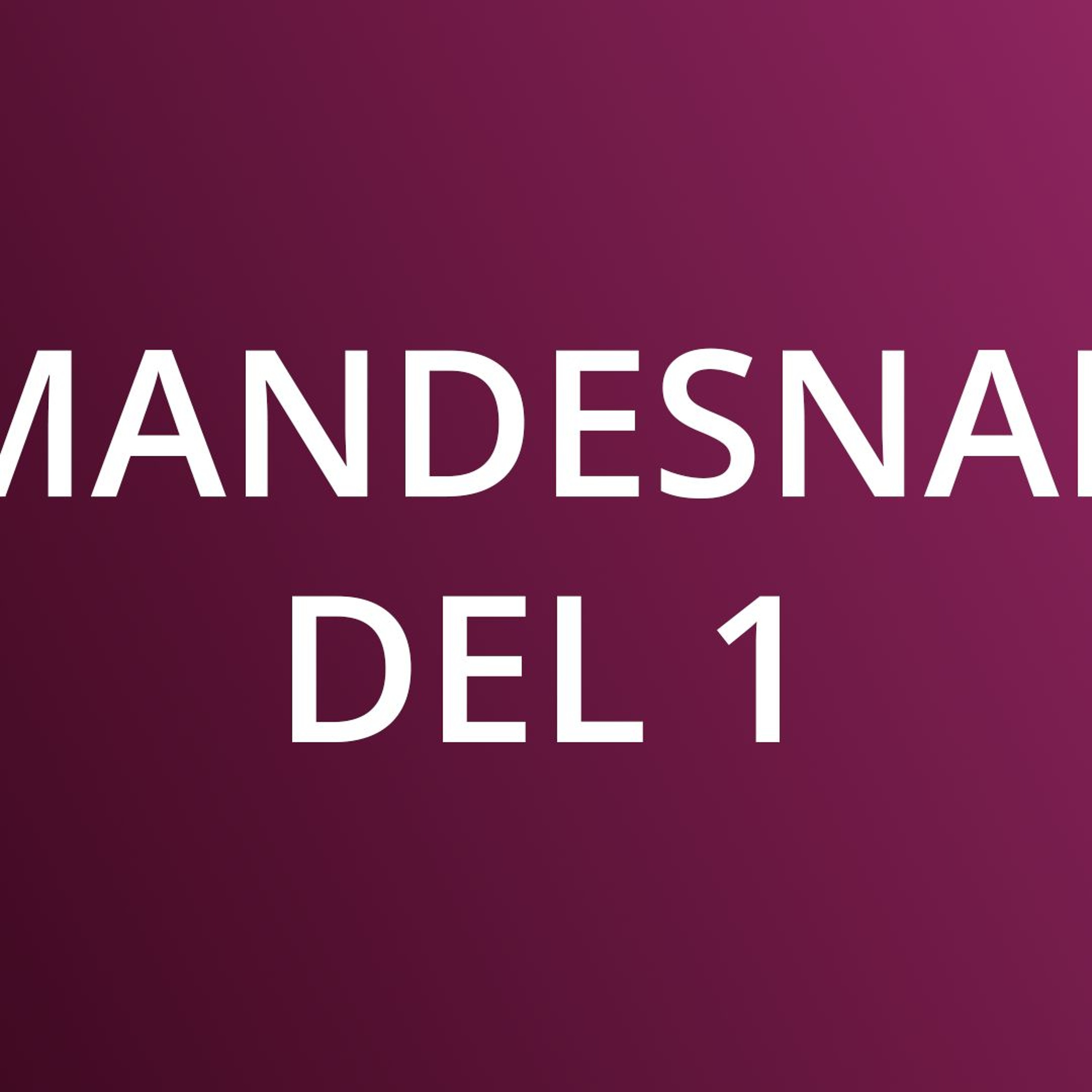 Afsnit 7 - Mandesnak del 1