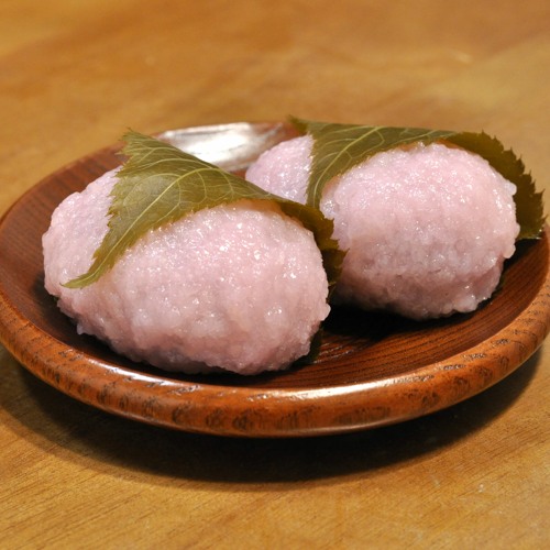 New Year Sakura 新年桜