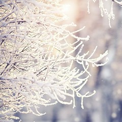 Snowy Day4(Royalty Free Music)