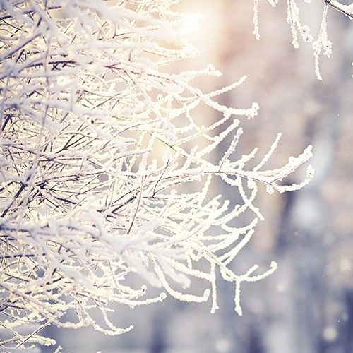 Snowy Day4(Royalty Free Music)