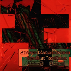 Stromschienen Syndikat - Scheiss Egal - (District Red Remix) 1.6x (sped up)