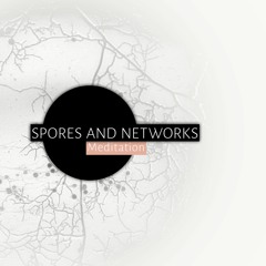 MycoMythologies Storytelling Circle: Spores And Networks Meditation