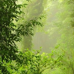 A Visit To Tikal (Original Music for "History Time")