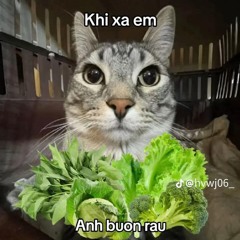 Mot Cu Lua Remix Kzuy