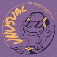 UNS004 // Ziel & Egyptian Greyhound - Higher High EP
