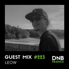 Guest Mix #223 - Leow