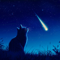 Lost Shooting Stars (Demo Song 2025)