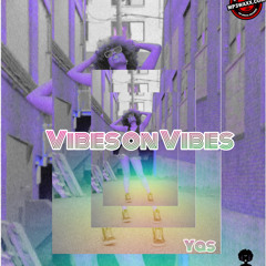 VIBES ON VIBES 2022